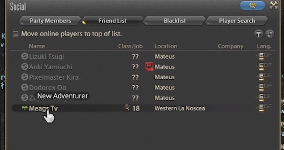 Playing With People From Different Data Centers in Final Fantasy Xiv