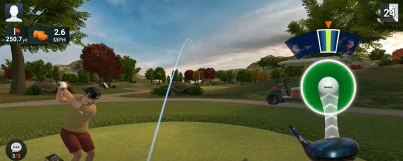 Can You Play Two-Player Golf With Friends?